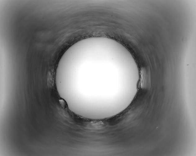 X0000086921491200704301046