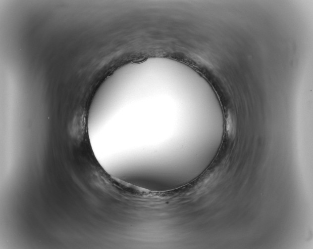 X0000086921492200704301046