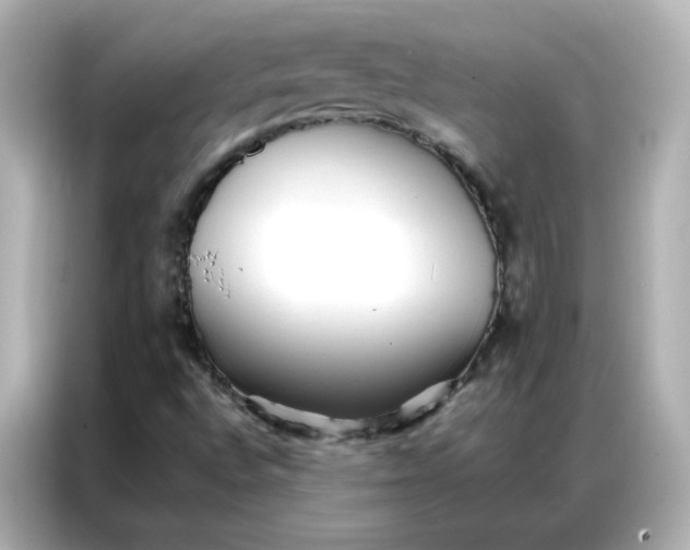 X0000086921496200704301046