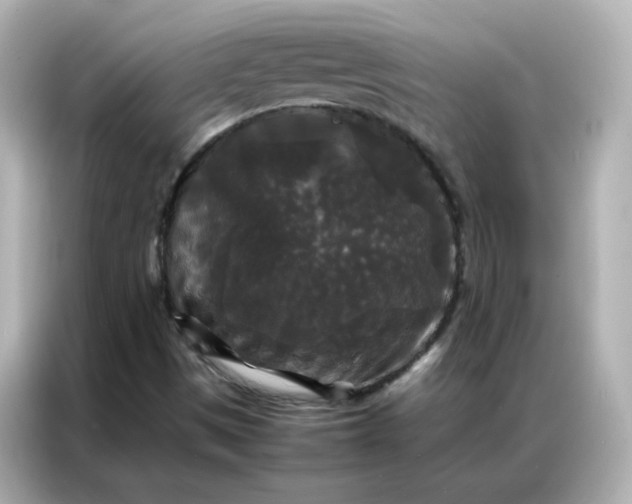 X0000086921497200704301046
