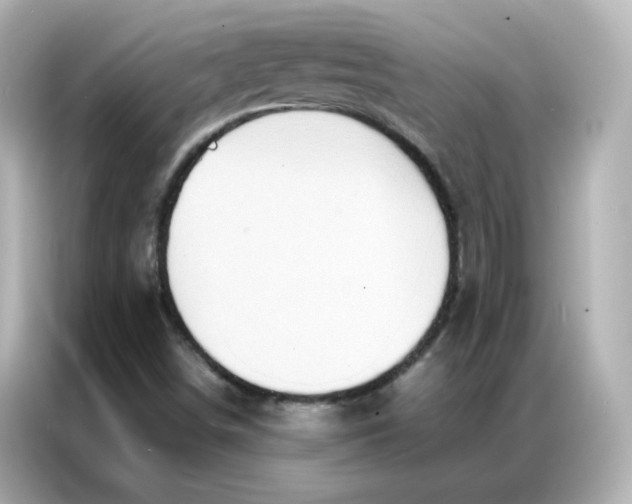 X0000086921498200704301046