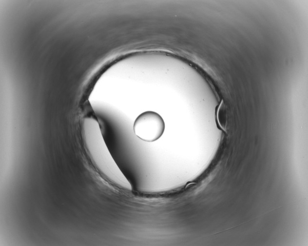 X0000086921502200704301047