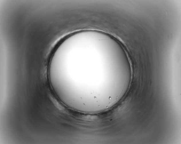 X0000086921503200704301047
