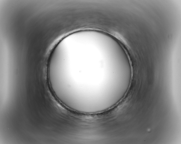 X0000086921504200704301047