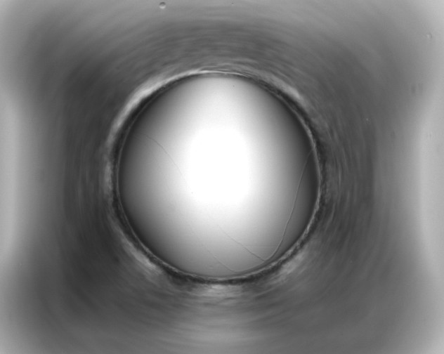 X0000086921506200704301047