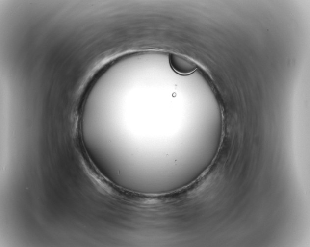 X0000086921507200704301047