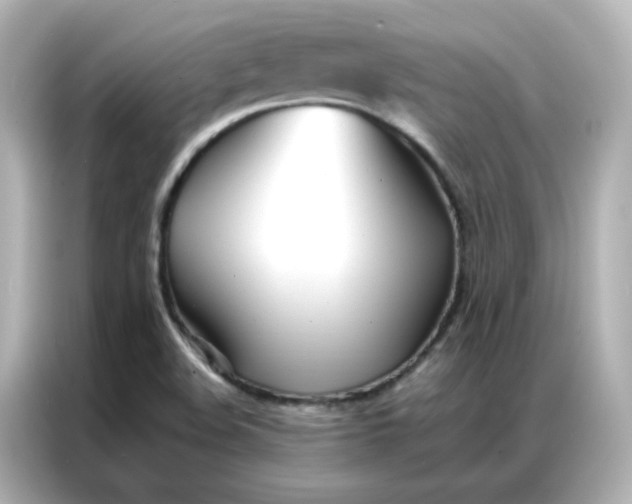 X0000086921508200704301047