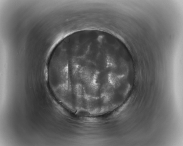 X0000086921509200704301047