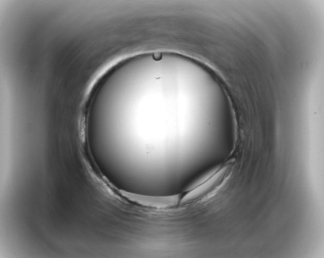 X0000086921510200704301047