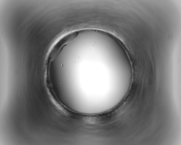 X0000086921511200704301047