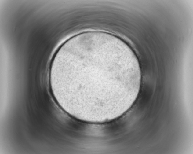 X0000086921514200704301047
