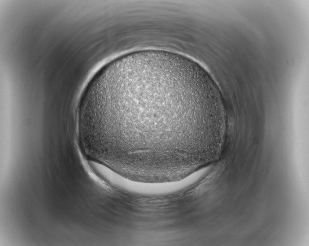 X0000086921515200704301047