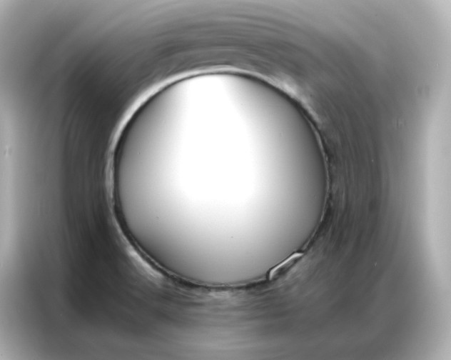 X0000086921516200704301047