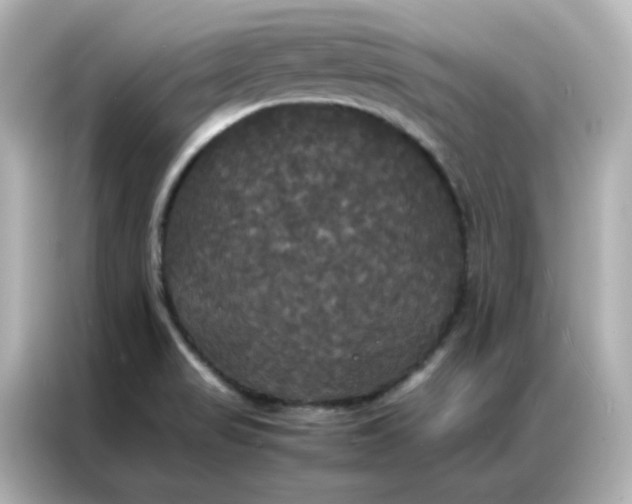 X0000086921517200704301047
