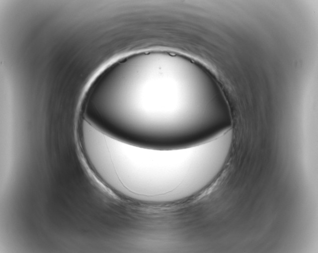 X0000086921518200704301047