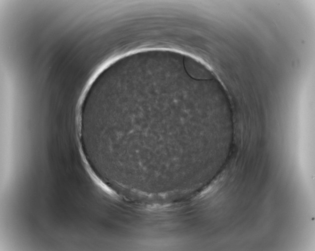 X0000086921519200704301047