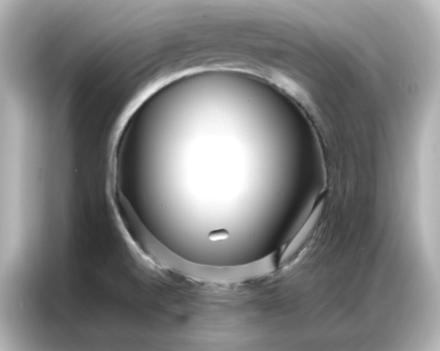 X0000086921520200704301047