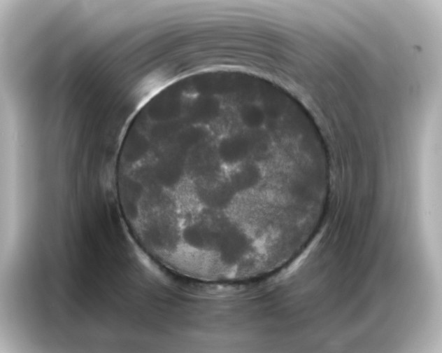 X0000086921521200704301047