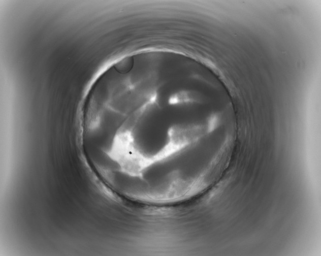 X0000086921522200704301047