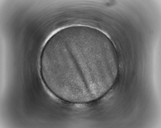 X0000086921523200704301047