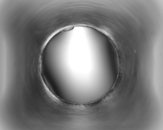 X0000086921524200704301047
