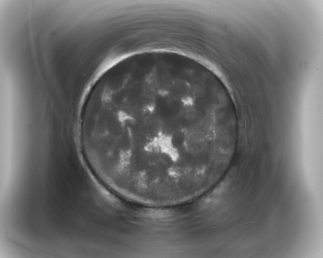 X0000086921525200704301047
