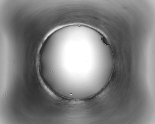 X0000086921526200704301047