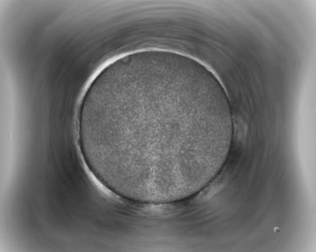 X0000086921531200704301047