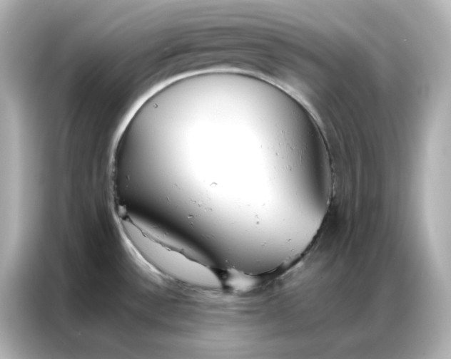 X0000086921532200704301047