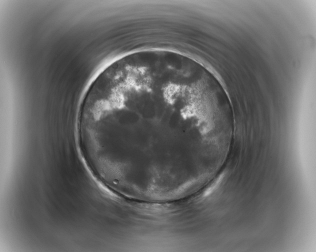 X0000086921533200704301047