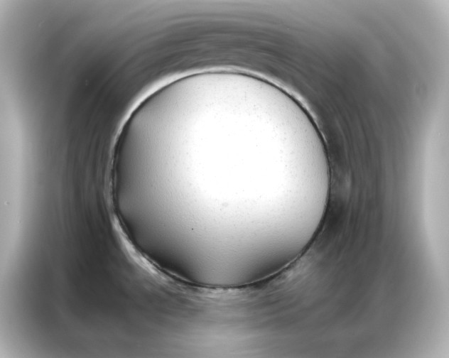 X0000086921534200704301047