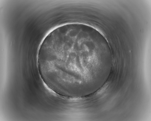 X0000086921535200704301047
