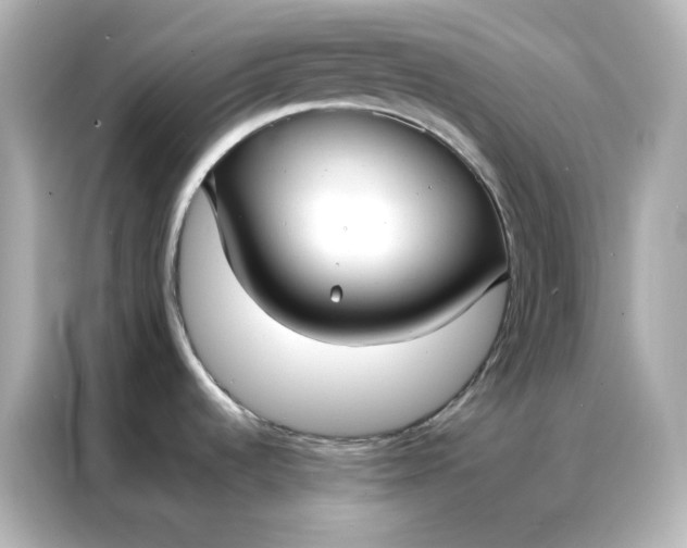 X0000086921536200704301047