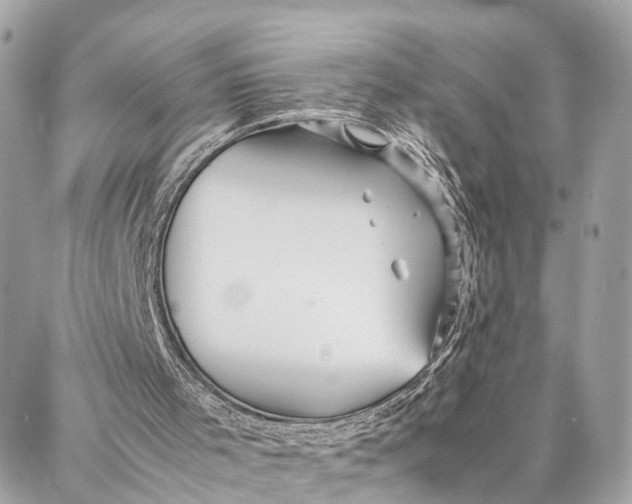 X0000086920001200705071340