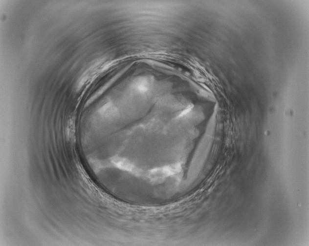 X0000086920002200705071340