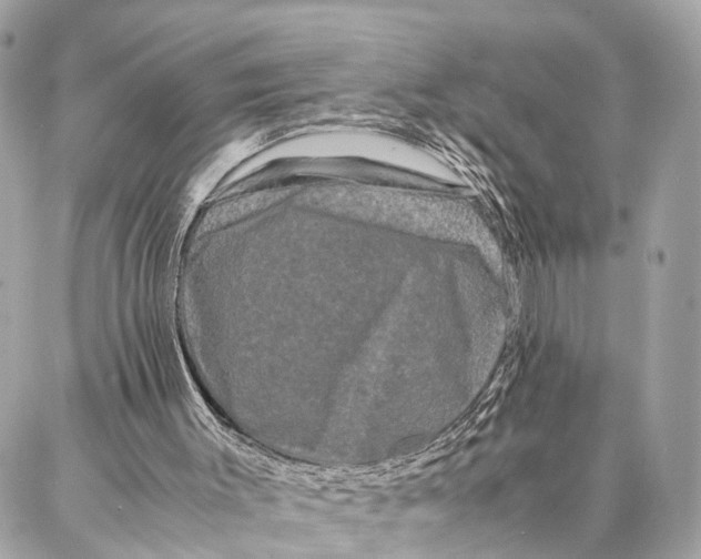 X0000086920003200705071340