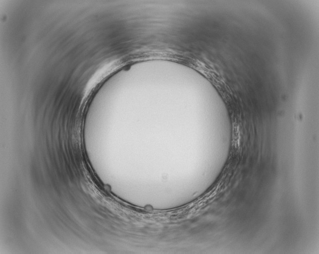 X0000086920004200705071339