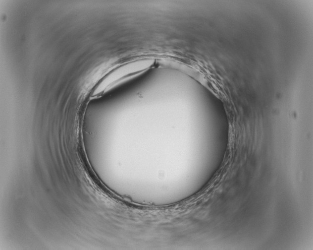 X0000086920005200705071339