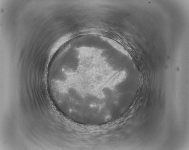 X0000086920006200705071339