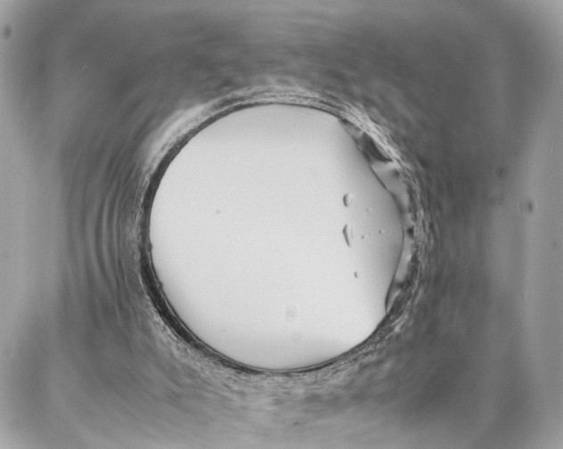 X0000086920007200705071339