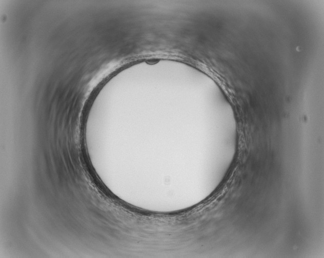 X0000086920008200705071339