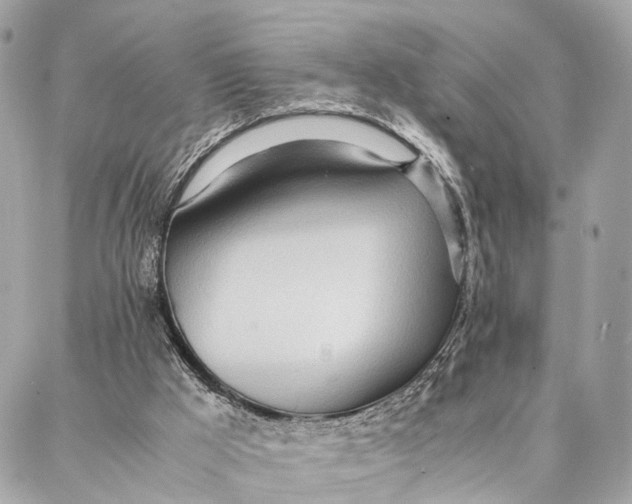 X0000086920009200705071339