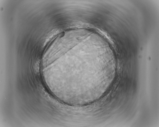 X0000086920010200705071339