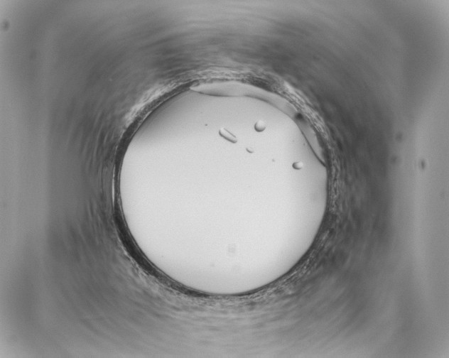 X0000086920011200705071339