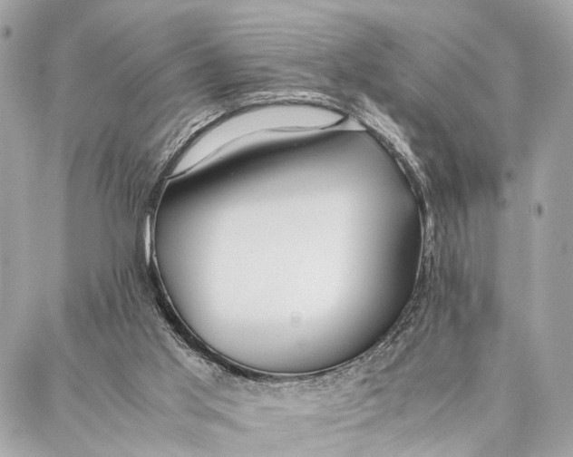 X0000086920013200705071339