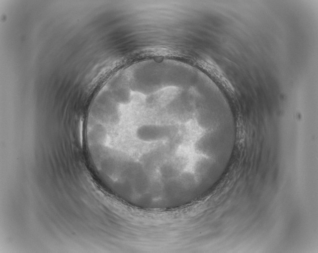 X0000086920014200705071339