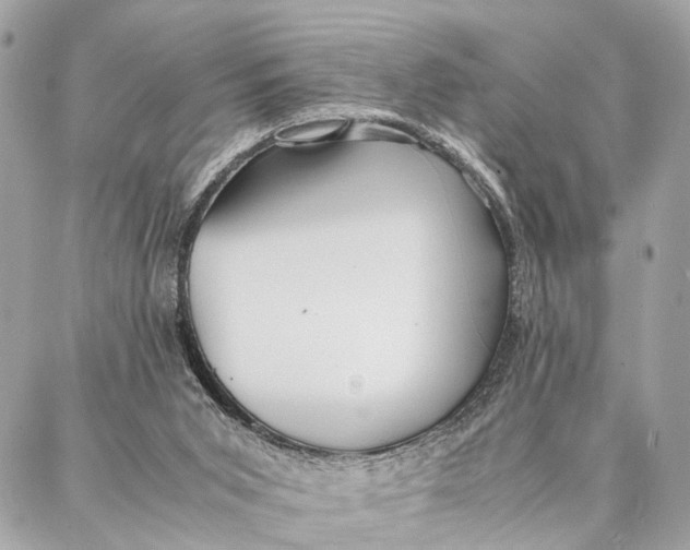 X0000086920015200705071339