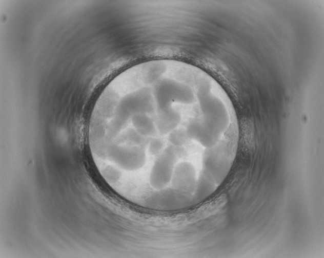 X0000086920016200705071339