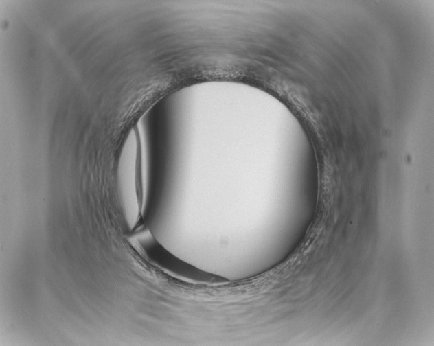 X0000086920017200705071339