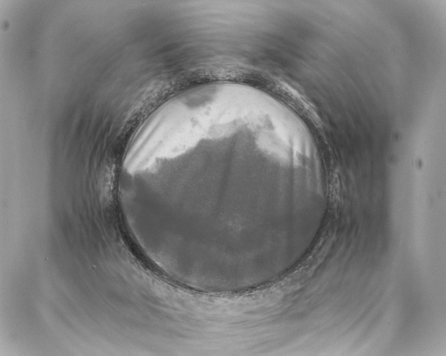 X0000086920018200705071339